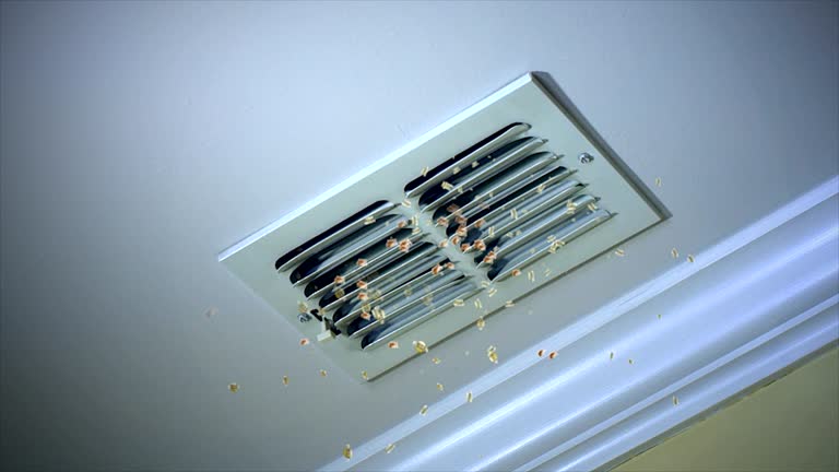 Best Residential Air Duct Cleaning  in Sunnyslope, WA